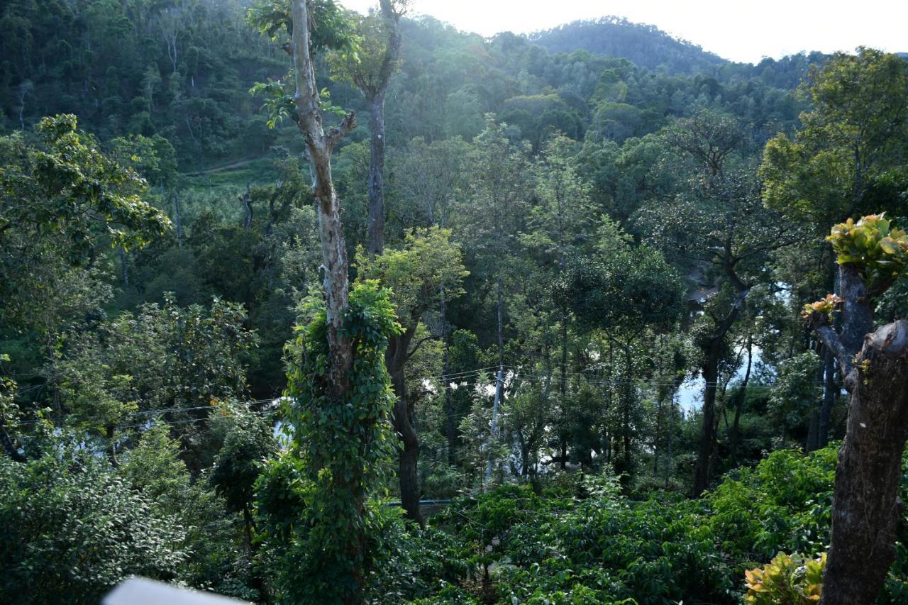 River View Guest House Madikeri Exteriör bild